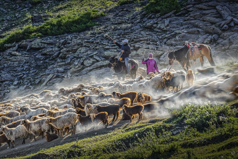 Life and People in Altai, Xinjiang - DSC_6820 1